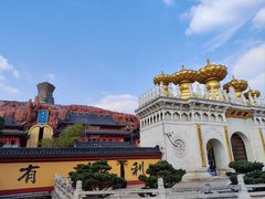 -上海东林寺(金山区)