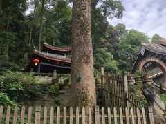 -都江堰普照寺
