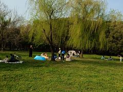 -蜀冈西峰生态公园