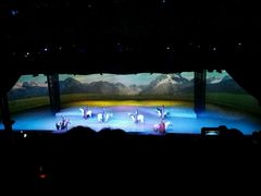 -cavalia·舞马