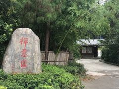 -铁山坪森林公园