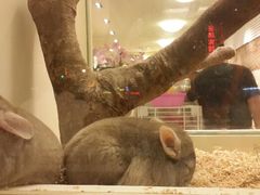 android_upload_pic-龙猫仔乐园(惠福东路店)