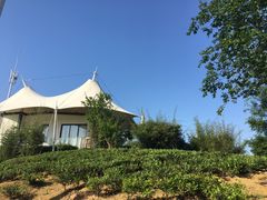 -帐篷客·溪龙茶谷度假酒店