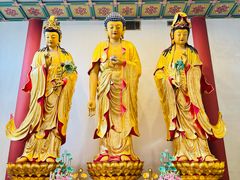 -上海东林寺(金山区)