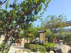 -华山御温泉度假村