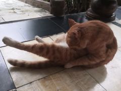 -龙达温泉生态城