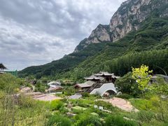-王莽岭风景区