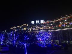 -枇杷园食为鲜火锅(南山店)