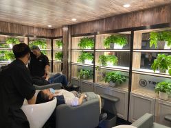 -一東造型烫发染发