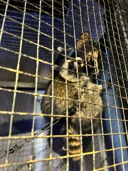 -酷嗒动物文化乐园(cutezoo西溪乐天城店)