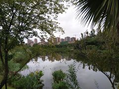 -东岳体育公园