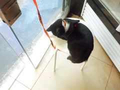 -艾加柒克蛋糕茶歇甜品台(春熙路店)