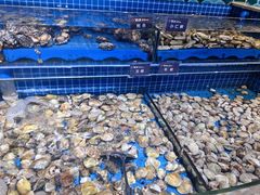 -乔哥铭洋海鲜自助(皇城恒隆广场店)