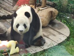 -大连森林动物园