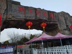 -合肥野生动物园