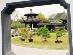 -扬州大运河文化旅游度假区·盆景园