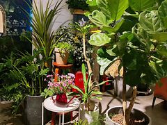 -蓝山四季西餐植物店