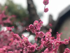 -思南公馆