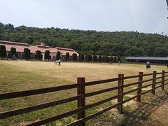 -平湖九龙山旅游度假区