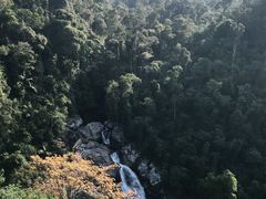 -海南热带雨林国家公园吊罗山景区