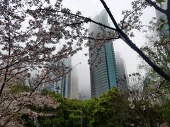 -陆家嘴中心绿地
