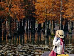 -白鹭湾湿地公园