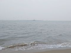 -鼓浪屿内厝澳码头(轮渡站)
