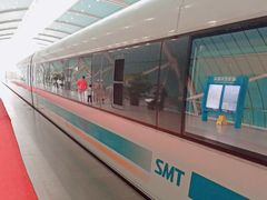 -龙阳路磁悬浮列车总站-停车场