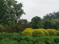 -莲花池公园