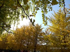 -辽宁大学(崇山校区)