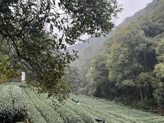 -十里琅珰