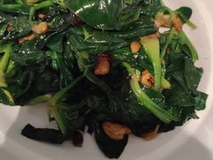 -阿五黄河大鲤鱼(纬三路店)