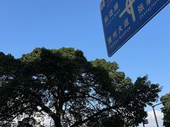 -继红顺河抄手名小吃