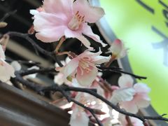 -大垣书店(烏丸三条店)