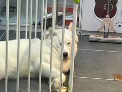 -萌兽医馆·眼科·异宠专科(三里屯店)