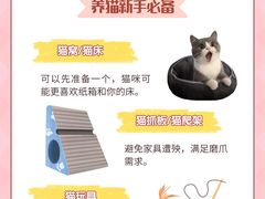 -美联众合动物医院·24h京西诊疗中心