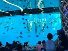 -瑞德姆美人鱼海底演艺主题餐厅(亚龙湾店)