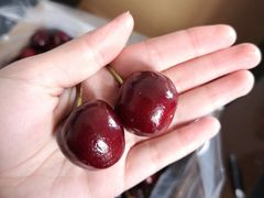 -菜园坝水果市场
