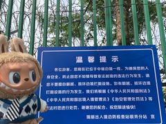 -一寨两国风景区