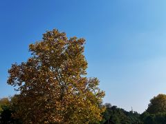 -钟山体育运动公园