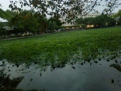 -西南交通大学(九里校区)