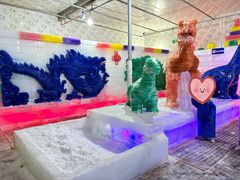 -南湖梦幻岛