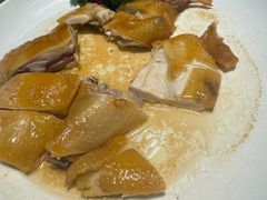 -港升鱼师傅·中山脆肉鲩