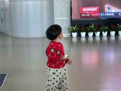 -合肥新桥国际机场-航站楼