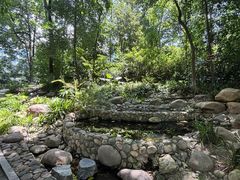 -成都市活水公园