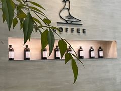 -野鸽子咖啡(航空路店)