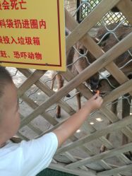 -萌宠亲子动物乐园(槐房万达店)