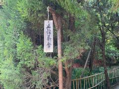 -洛阳白马寺