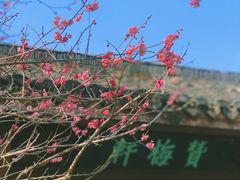 -杭州植物园