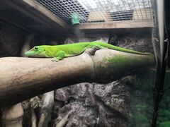-广州长隆飞鸟乐园